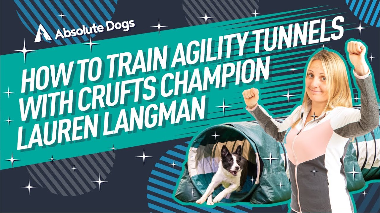 How to Train Agility Tunnels with Crufts Champion Lauren Langman