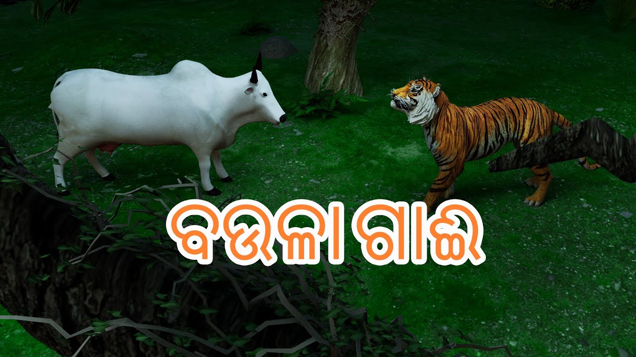 ବଉଳା ଗାଈ ଓ ବାଘ | Baula Gai | The Cow Baula & The Tiger