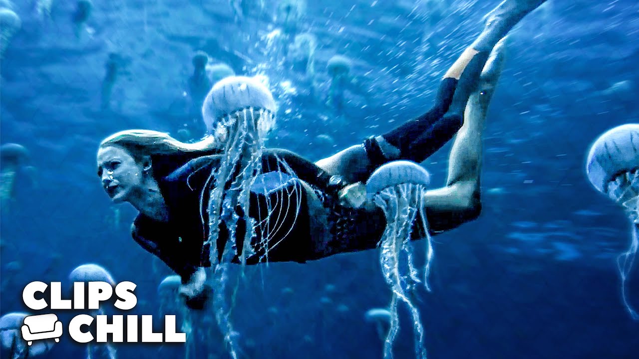 Swimming Among The Jellyfish | The Shallows