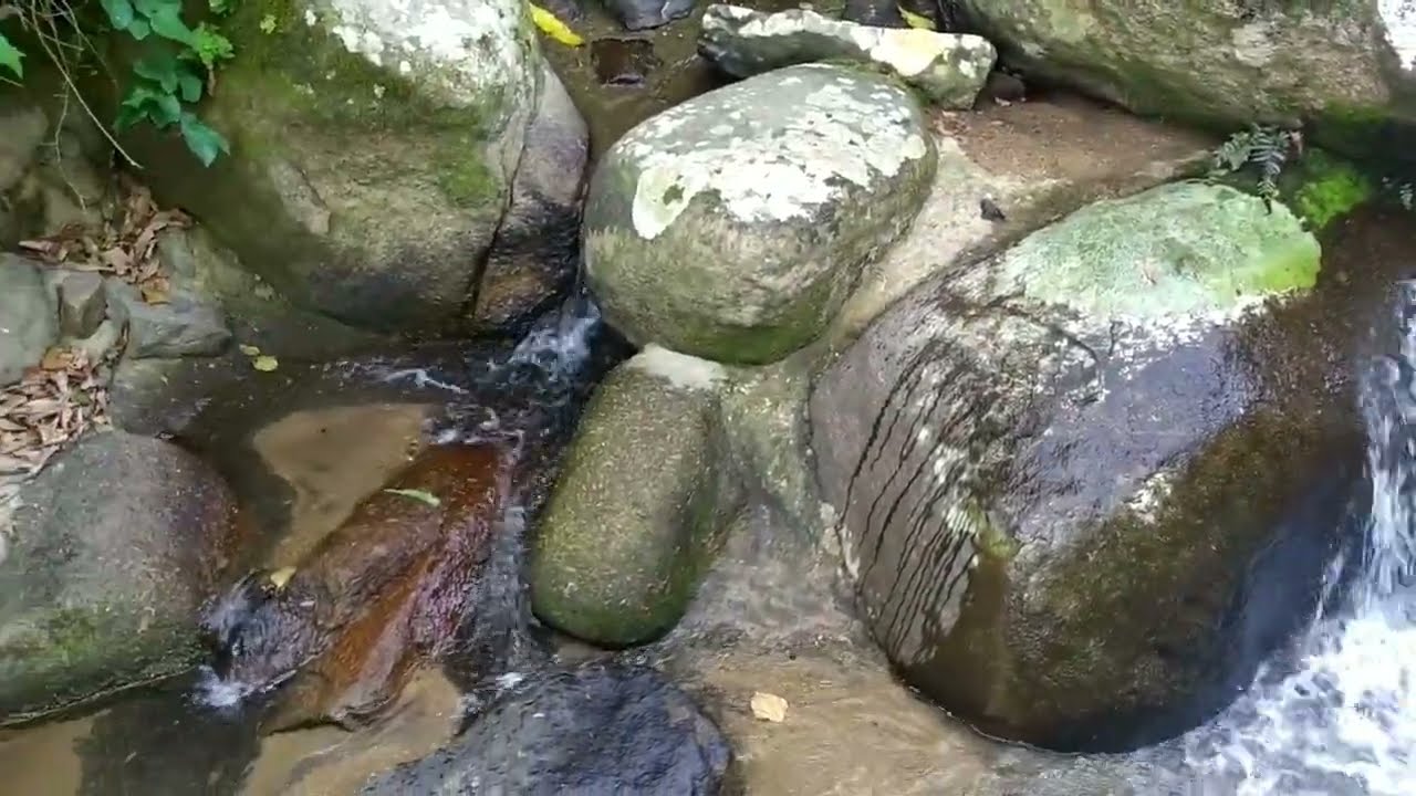 Mini Chacára de 2.500m2 - VENDIDA