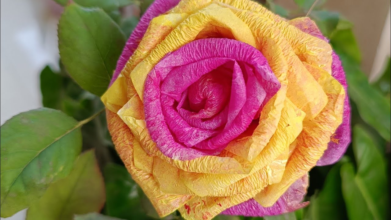 Tissue Paper Rose Flower 🌹 DIY l Easy Handmade craft idea I Pink Yellow Rose 