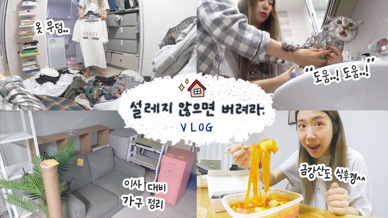 [샒의삶] 일상: 2년간 쌓인 묵은 짐 청산 브이로그 / 이사가기 전 옷장 정리 / 미루던 자룡이 목욕 VLOG
