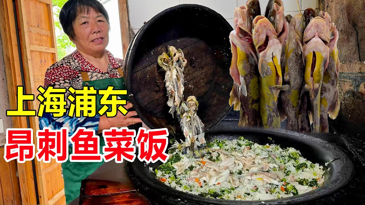 全上海最后一家！藏在古镇里的昂刺鱼菜饭，35元一份没人带找不到 #麦总去哪吃