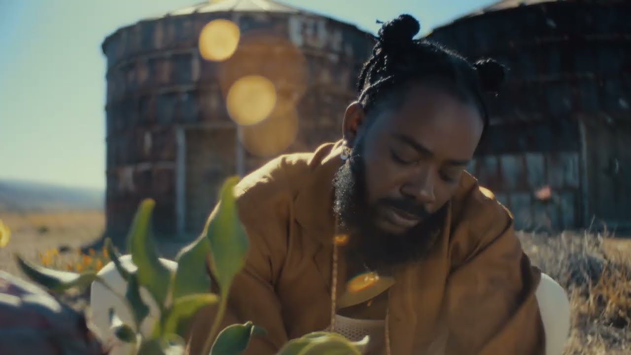 Adekunle Gold - It Is What It Is (Official Video)
