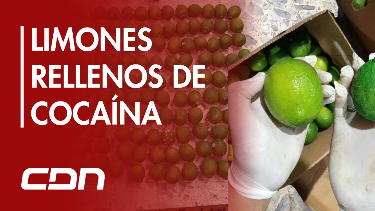 Narcotráfico recurre a diferentes modalidades para traficar con droga