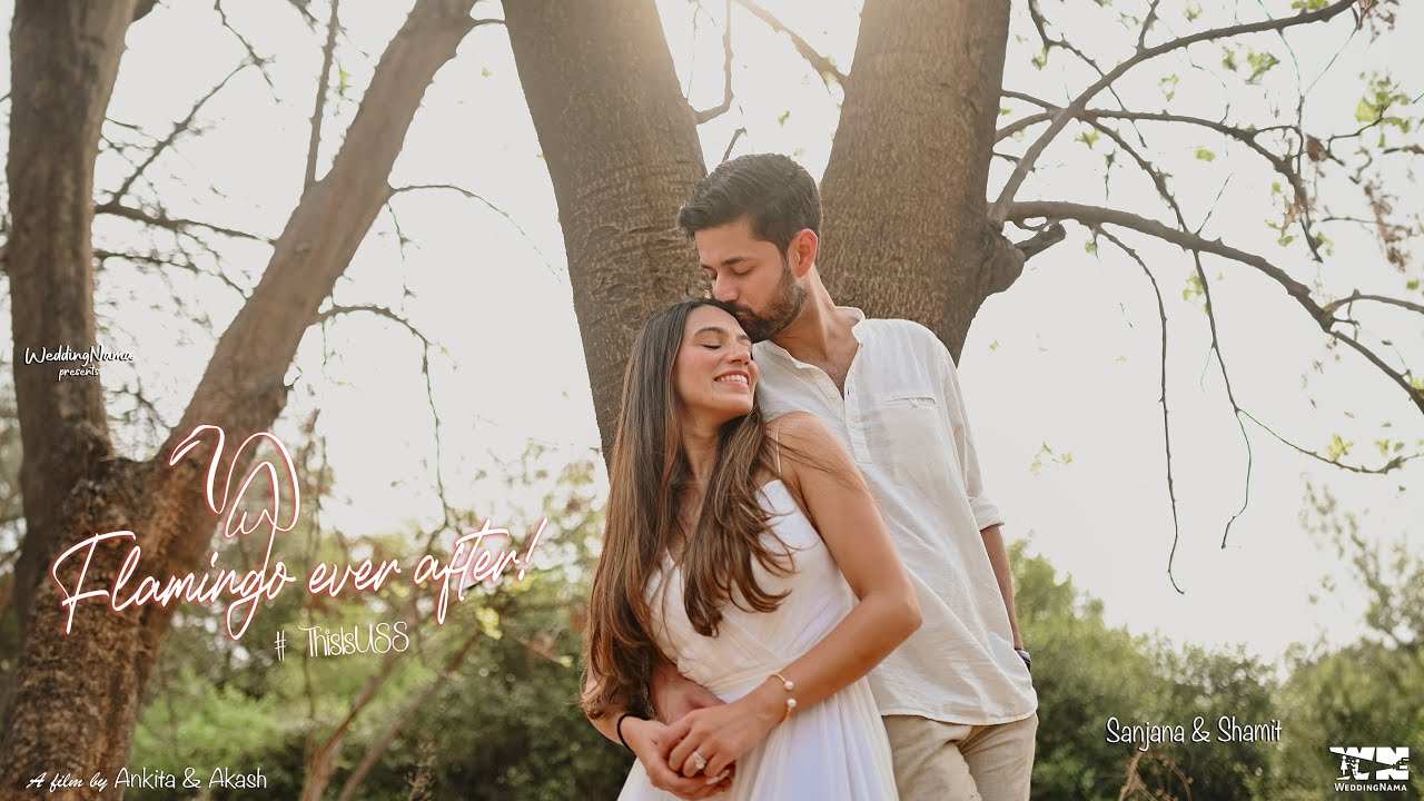 Flamingo Ever After: Sanjana & Shamit's wedding trailer | Jaipur