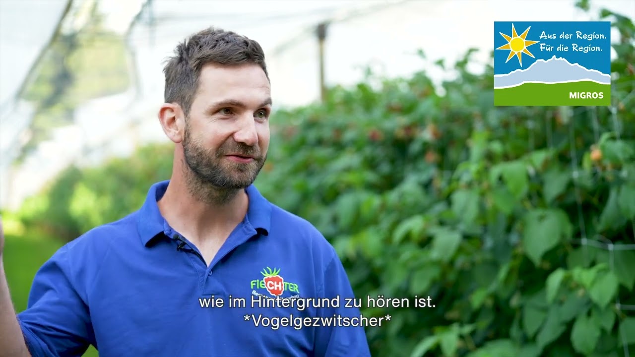 &laquo;Aus der Region.&raquo; Himbeeren von Fiechter Beeren und Obstanbau.