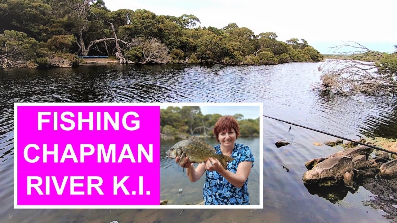 How to catch Bream on Kangaroo Island (fishing Chapman River)