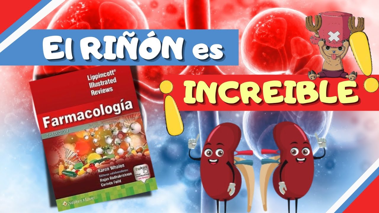 ✨ La ELIMINACIÓN Del FÁRMACO por el RIÑÓN EXPLICADO.📘Karen Whalen 7ma Edición 📘🩺💊