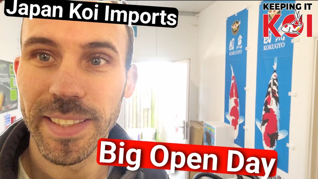 Helping Out at Japan Koi Imports Open Day & Garry's Pond