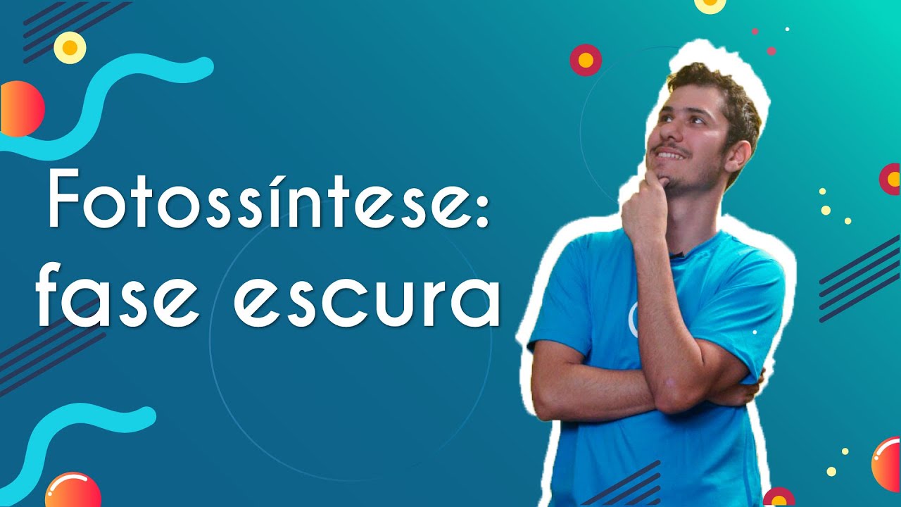 Fotossíntese: fase escura - Brasil Escola