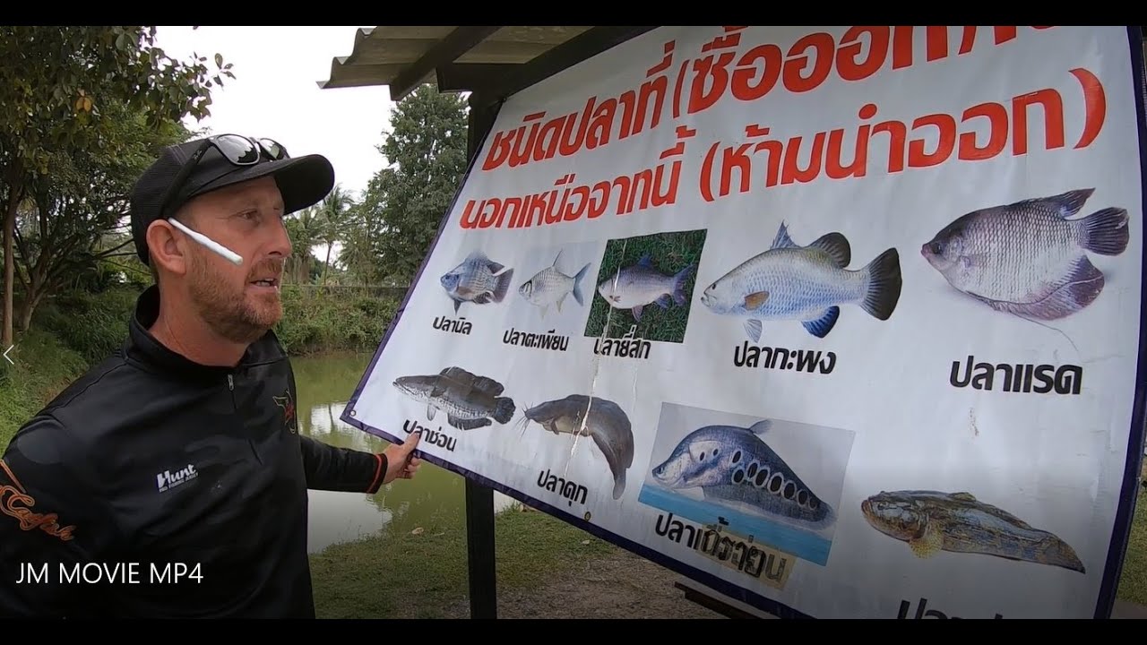 JM fishing Park, Christmas Eve 020. Chonburi province Thailand. Fishing for Siamese Carp
