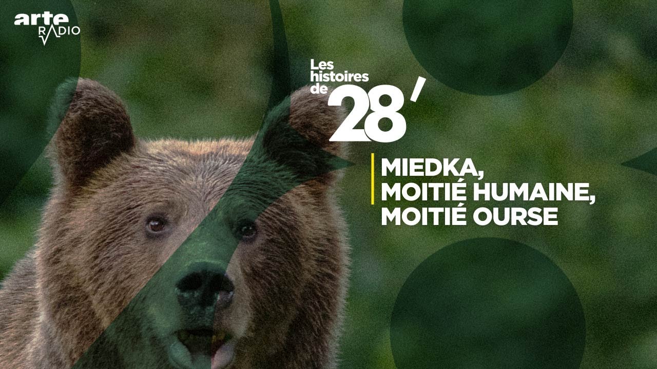 « Miedka », moitié humaine, moitié ourse | Les histoires de 28' - ARTE Radio Podcast