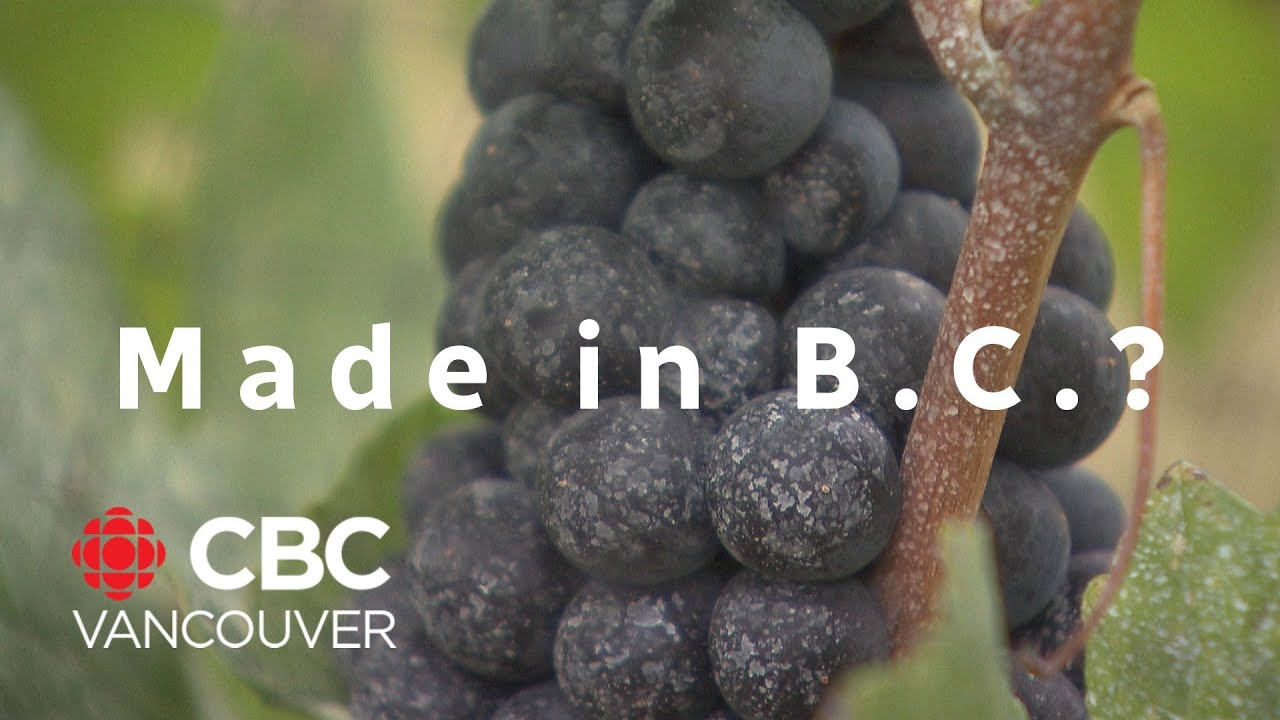 B.C. lets wineries import grapes to offset winter losses