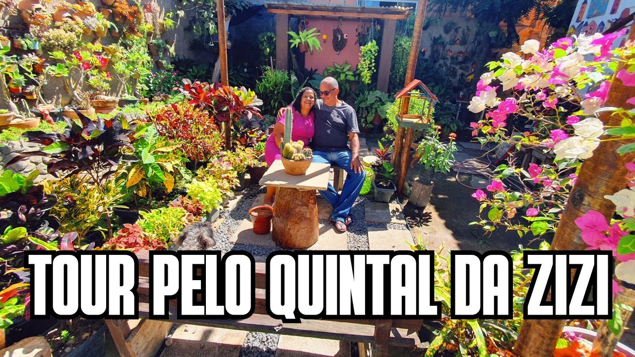 TOUR NO QUINTAL DA ZIZI: Plantas de sol, sombra, folhagem, cacto, suculenta, samabaias, begonia, etc