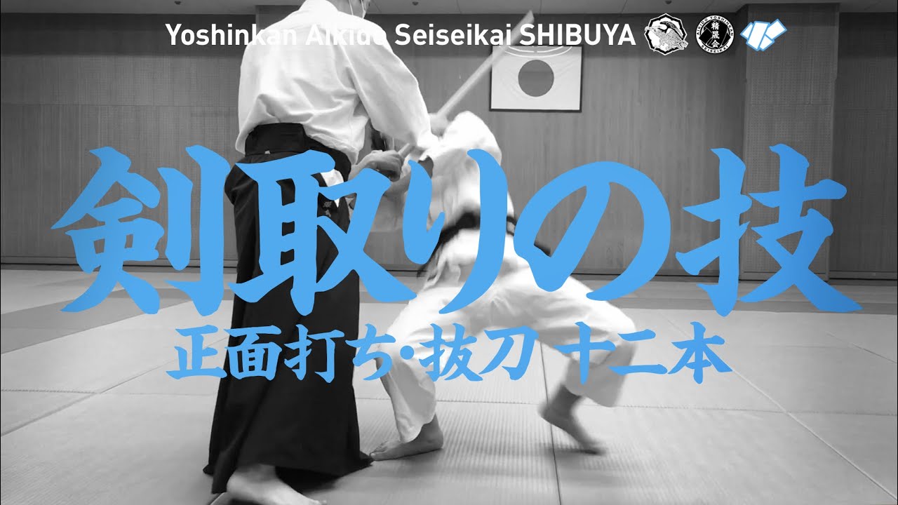 ［剣取りの技｜正面打ち・抜刀 十二本］養神館合気道 精晟会渋谷の稽古
