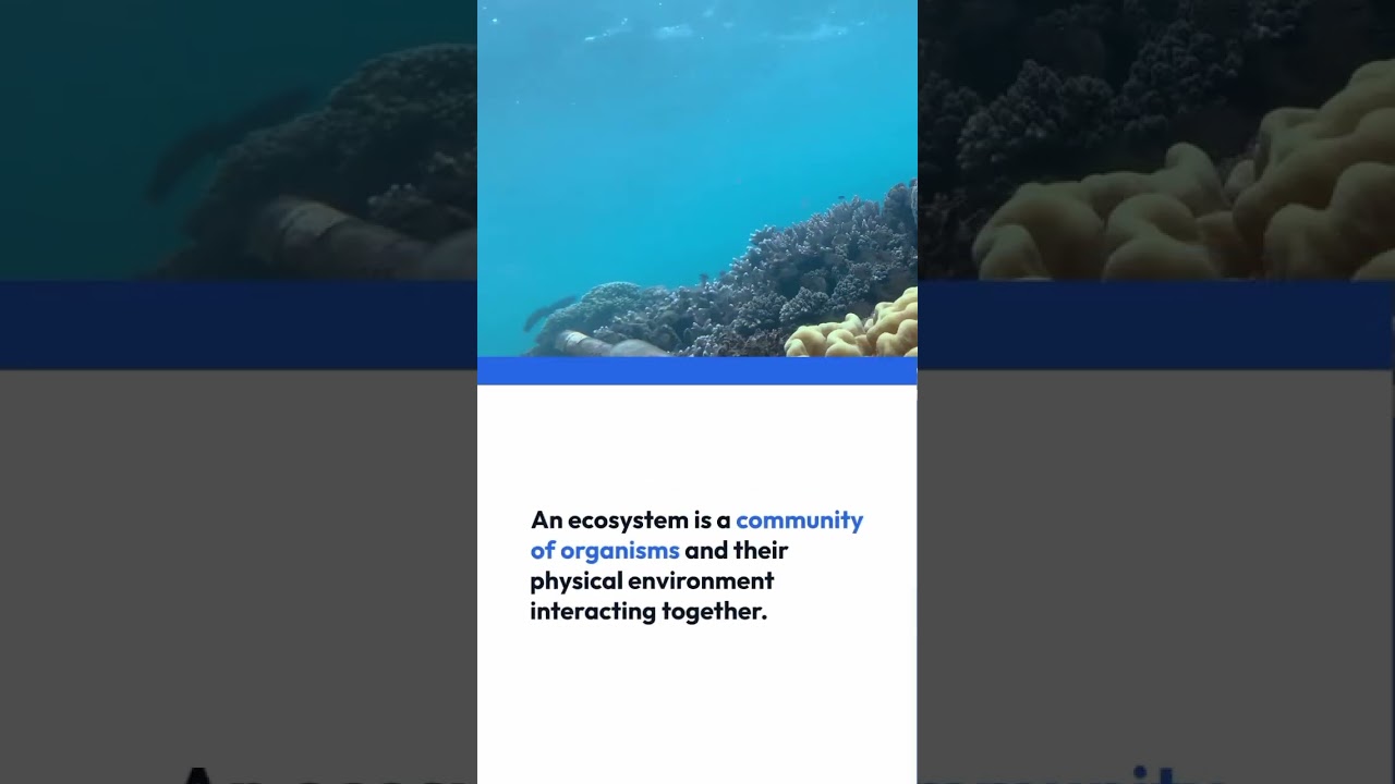 #Ecosystem#diversity#nature an environment