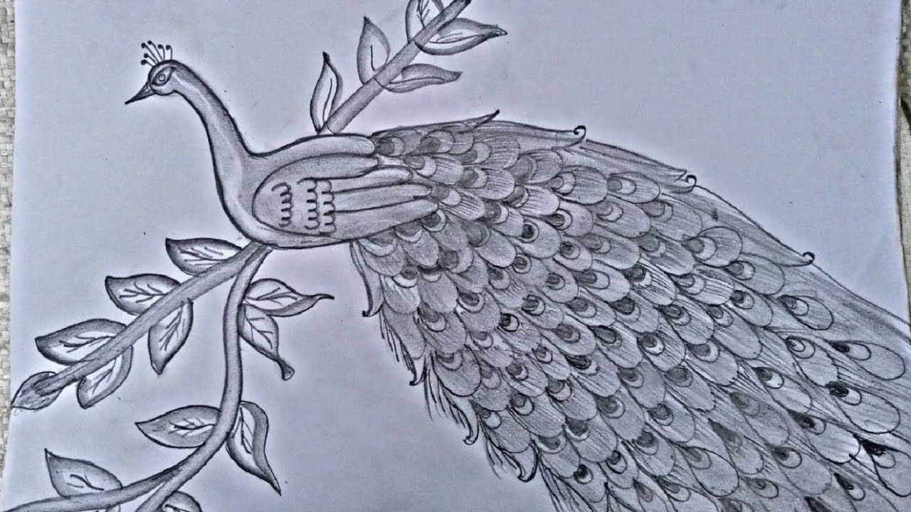मोर का चित्र बनाना सीखें/how to drow a peacock very easy peacock hand printing banana sikhe simple a