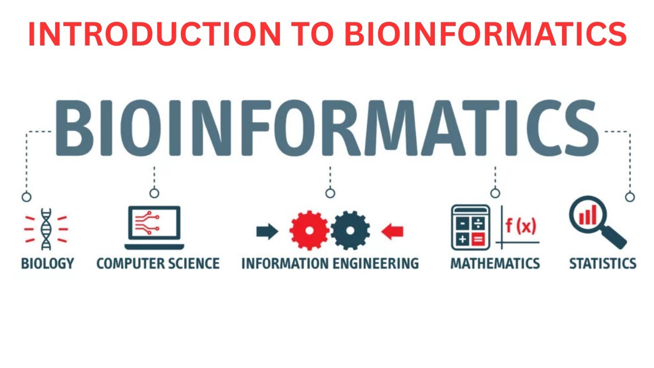 Introduction to Bioinformatics