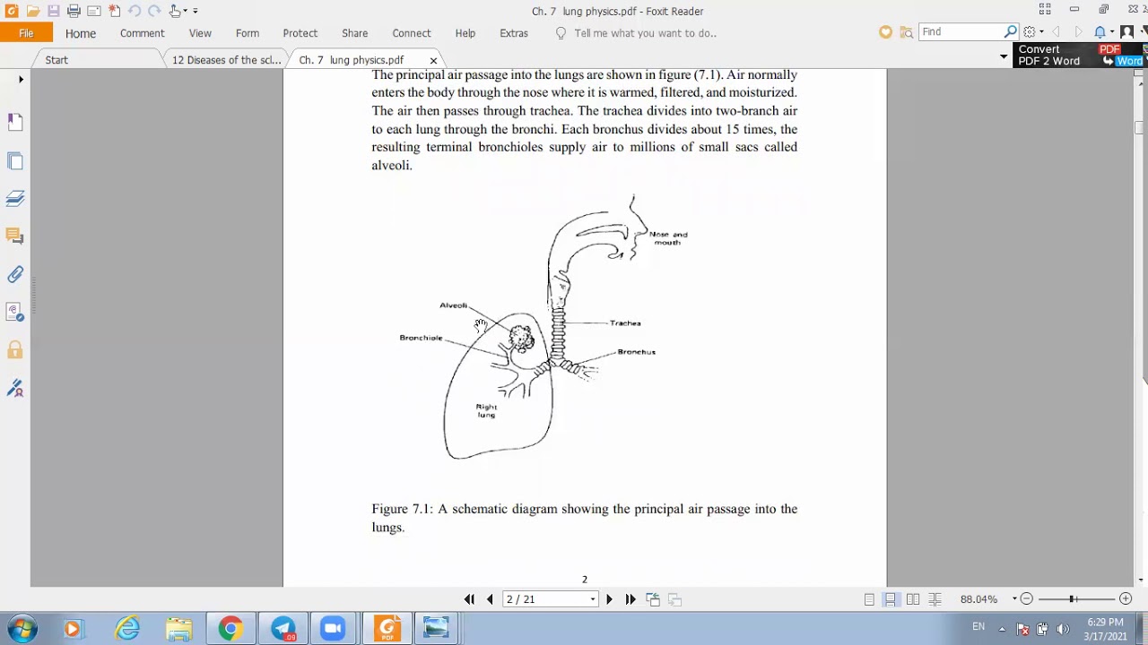 The Physics of the Lungs and Breathing/Part 1 طب النهرين