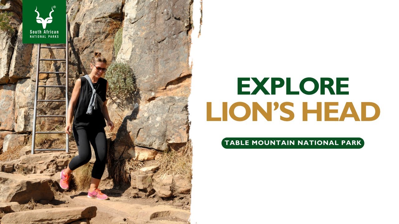 Lion's Head | Table Mountain National Park #SANParks