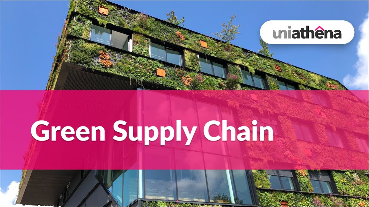 Time for your business to &lsquo;Go Green&rsquo; | Green Supply Chain | Mastering International SCM