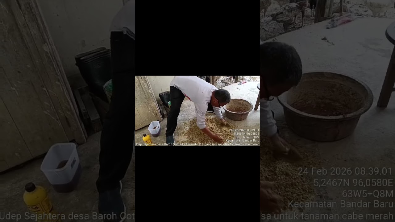 Pembuatan Pakan Ternak Fermentasi untuk Meningkatkan Produktivitas
