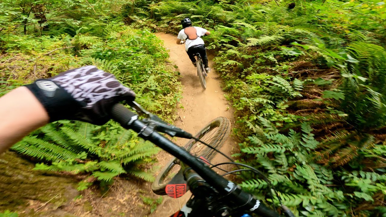 Follow Cam on Best Trail at Vedder