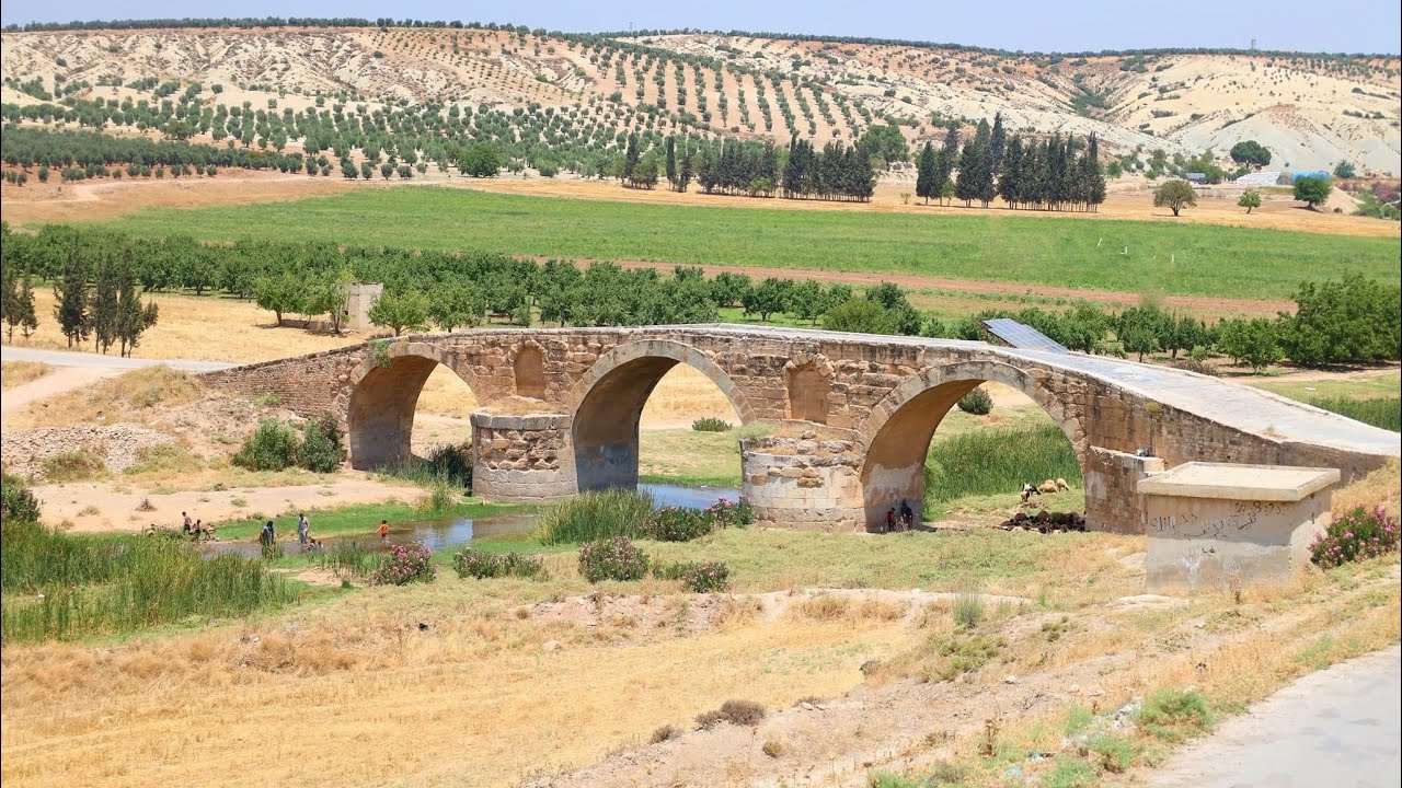 بعض المقاطع لـ منطقة عفرين الحبيبة 💚Adnan Dilbirîn - Pir Şêrîne Gundê me ♫