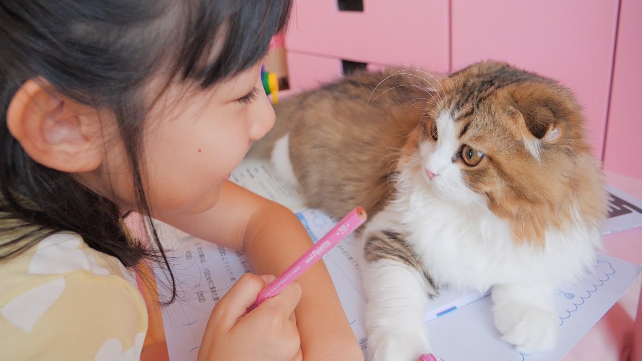 夏休みの宿題中の小学生女子に構ってもらいたい猫と夏休みの日常