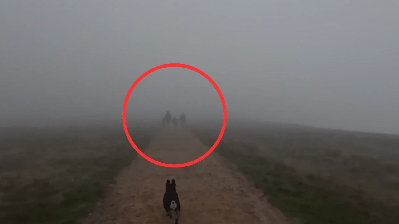 6 Most DISTURBING Camping Encounters Ever Caught On Camera