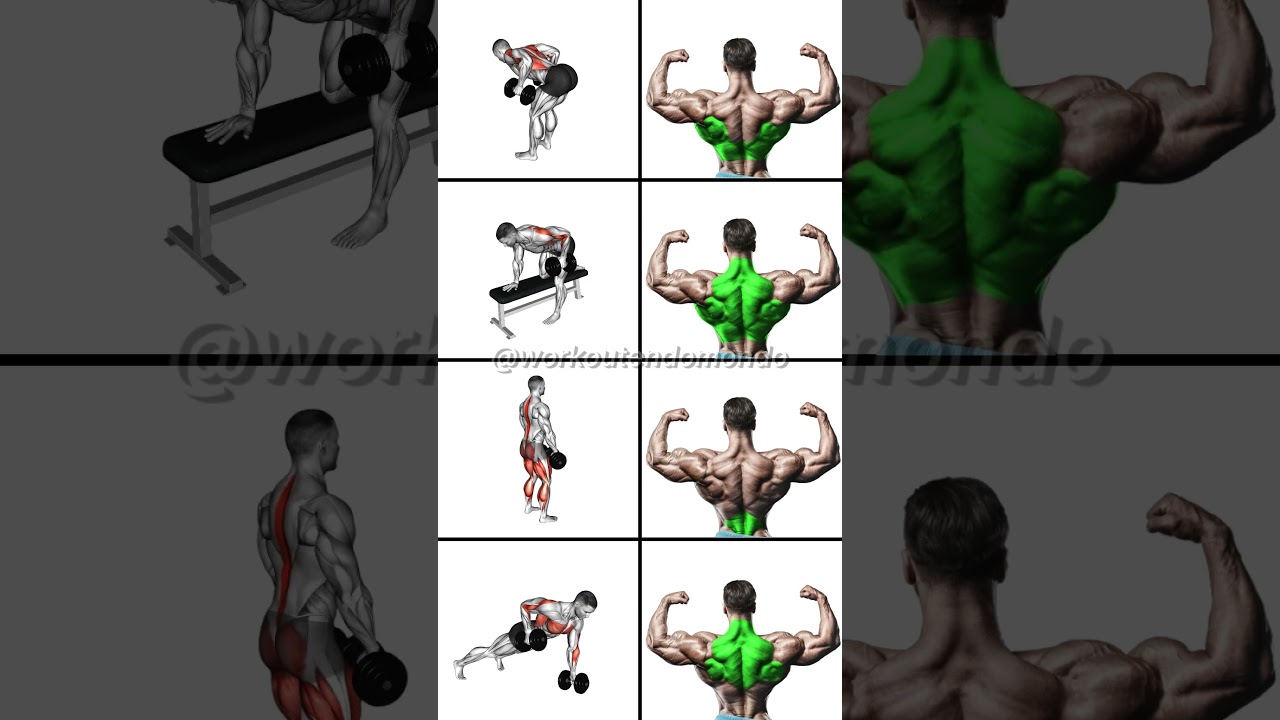STRONGER Back with DUMBBELLS: Best Dumbbell Back Workout!