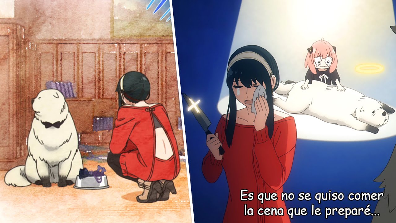 Bond no quiere comer la comida de yor | Spy x Family Season 2