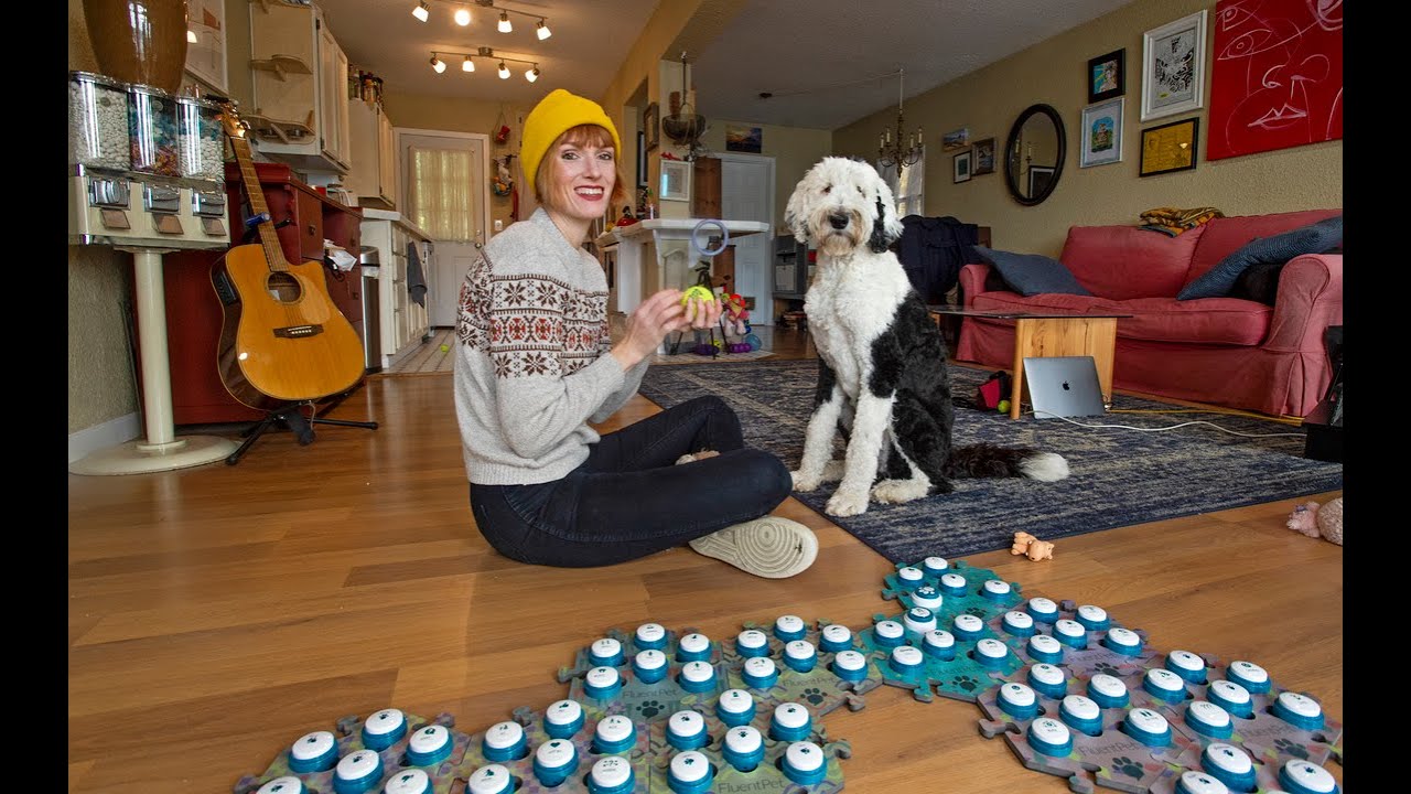 Tacoma owner's 'talking' dog reaps viral love