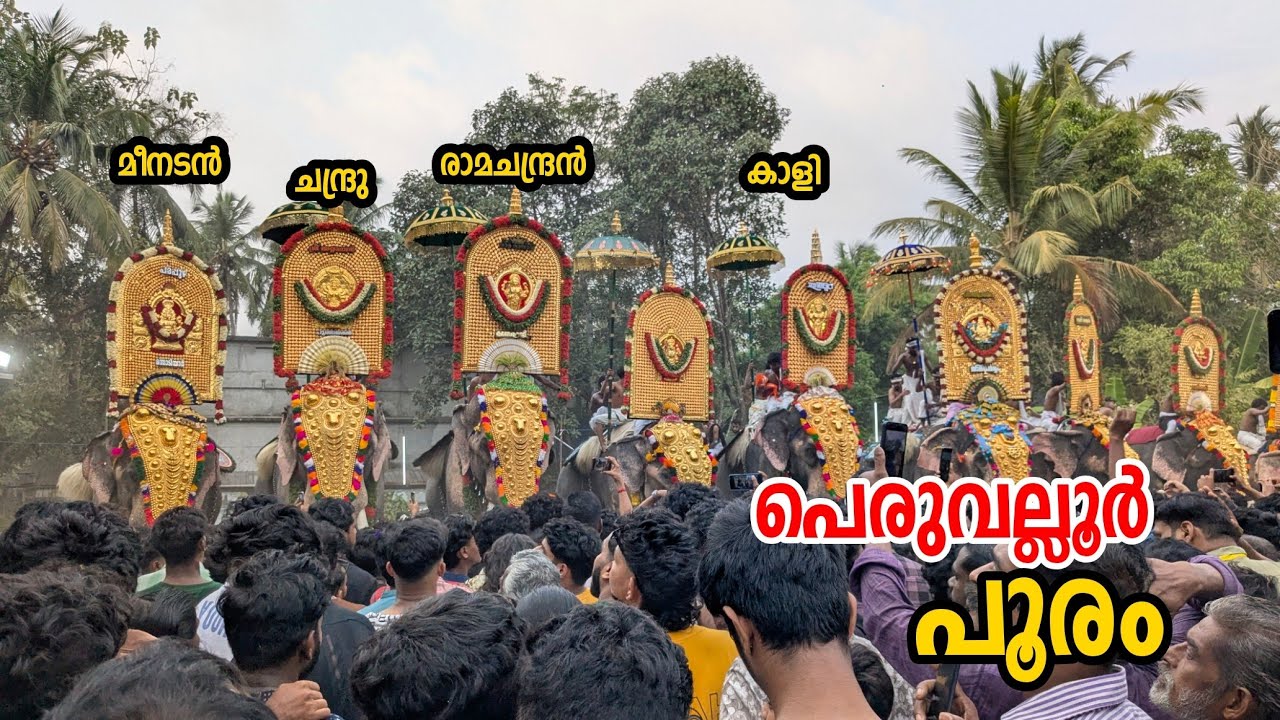 രാമനും കാളിയും ചന്ദ്രുവും തകർത്ത പെരുവല്ലൂർ പൂരം 2025 peruvlloor pooram 2025