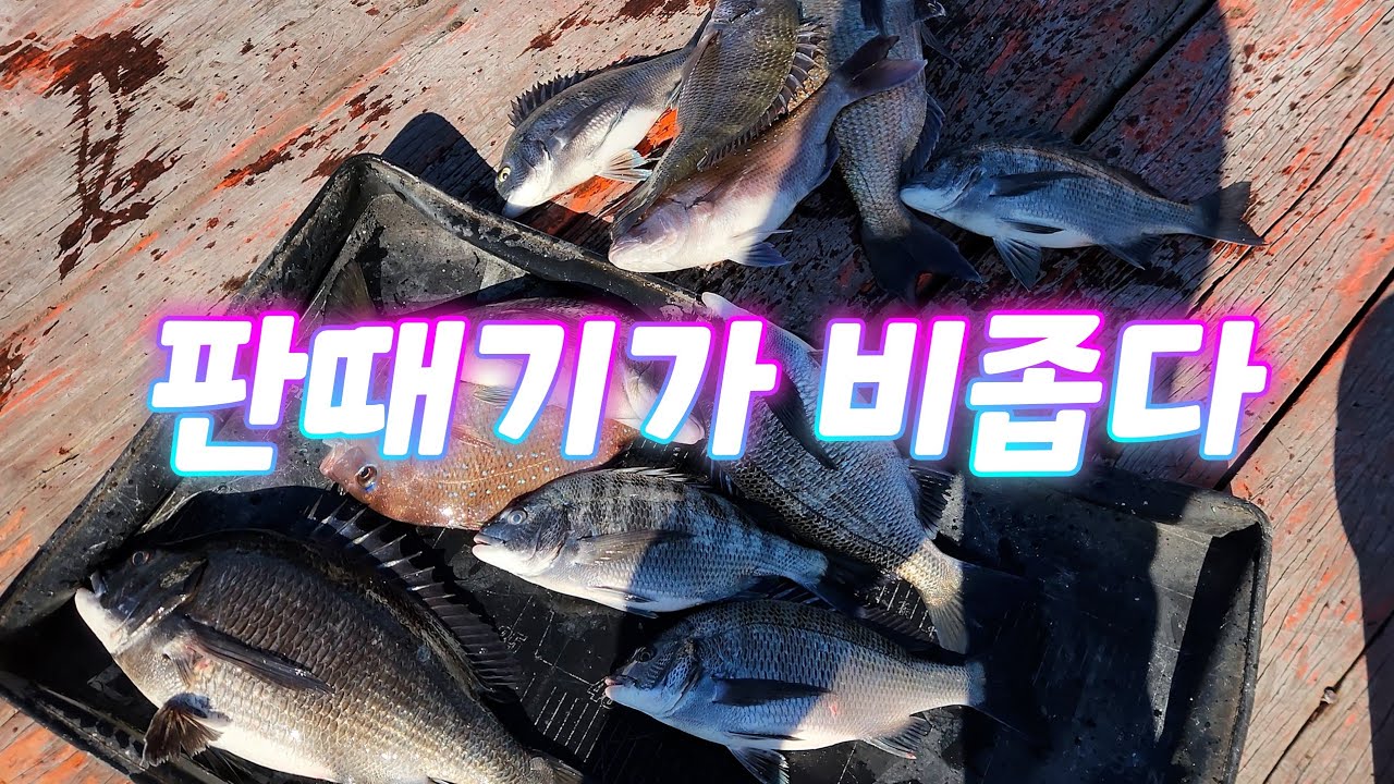 카고낚시가 이렇게 즐거웠던적이 있었던가?...
