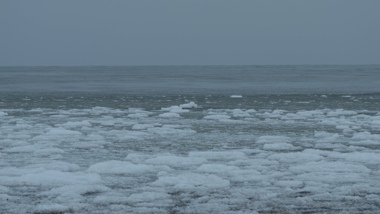 Mikoszewo. Ice on the Baltic. Winter #16