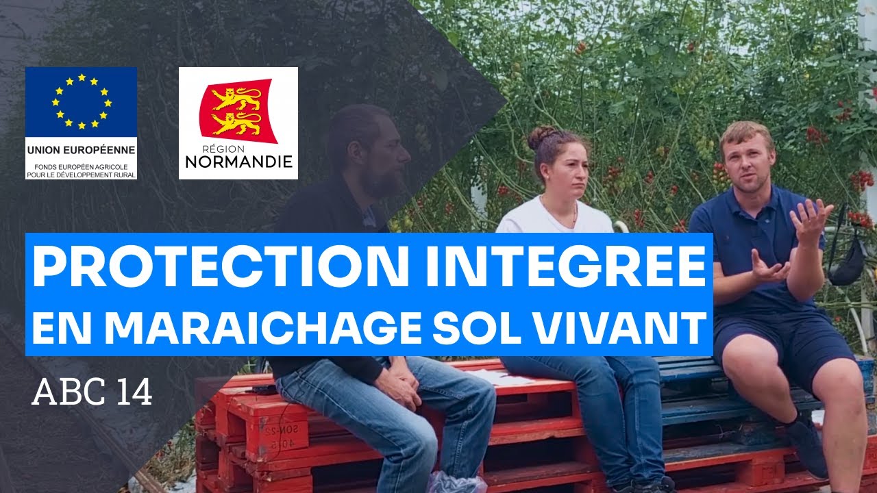 Protection biologique intégrée en Maraîchage sur Sol Vivant, ABC 14