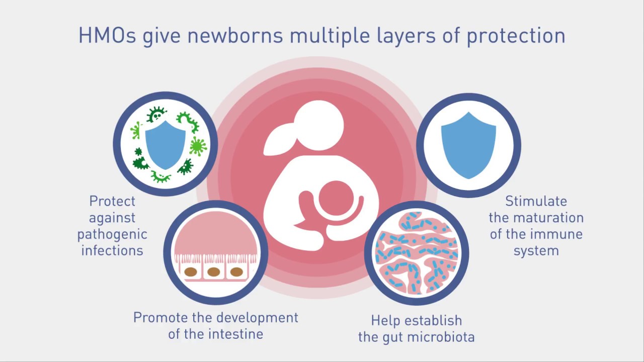 The Benefits of Human Milk Oligosaccharides (HMO) on Immunity