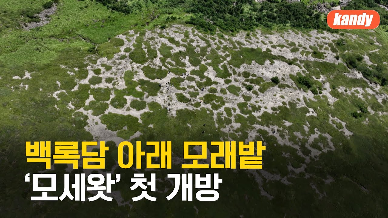 천연기념물 한라산에 흰 모래밭이?…‘모세왓’ 첫 공개 / KBS  2025.08.01.