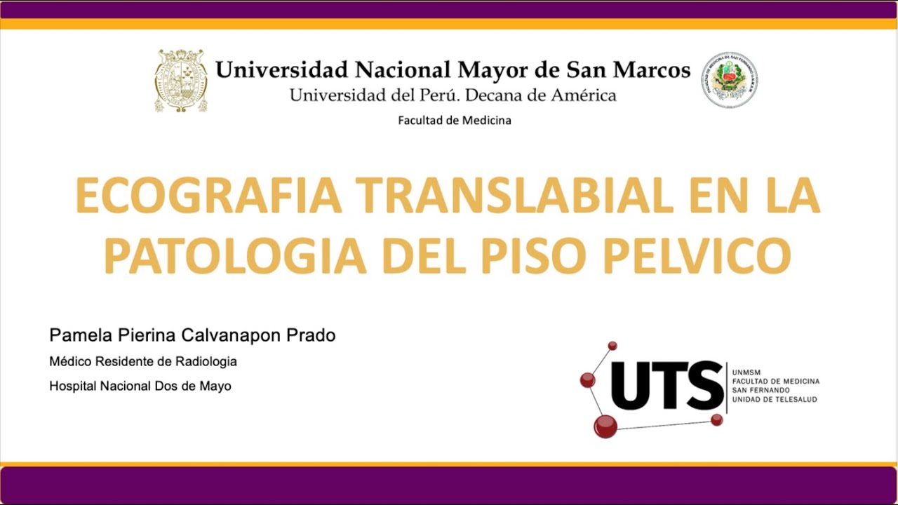 ECOGRAFIA TRANSLABIAL EN LA PATOLOGIA DEL PISO PELVICO