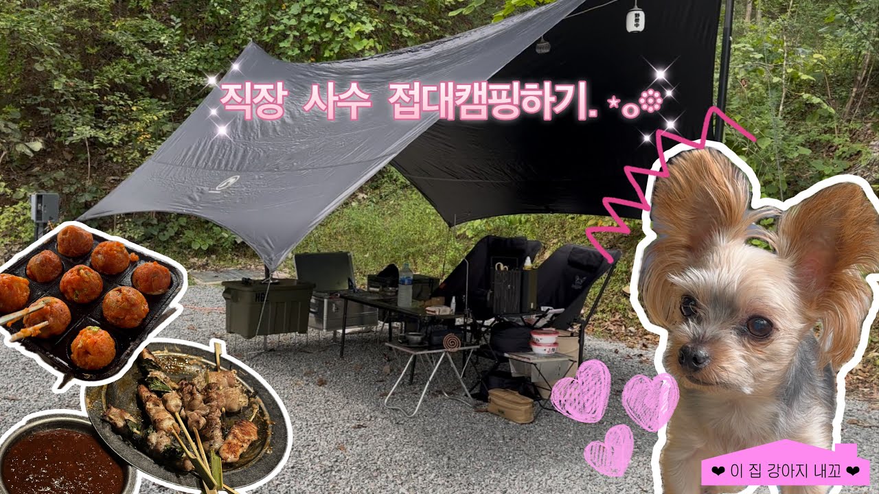 춘천 더숲캠핑장🐾| 직장사수 초대 접대캠 | 로망의 첫 애견동반캠핑 | 헥사타프 첫개시 | 타코야끼김치전 야끼토리 얼큰해장파스타 | 캠핑음식추천