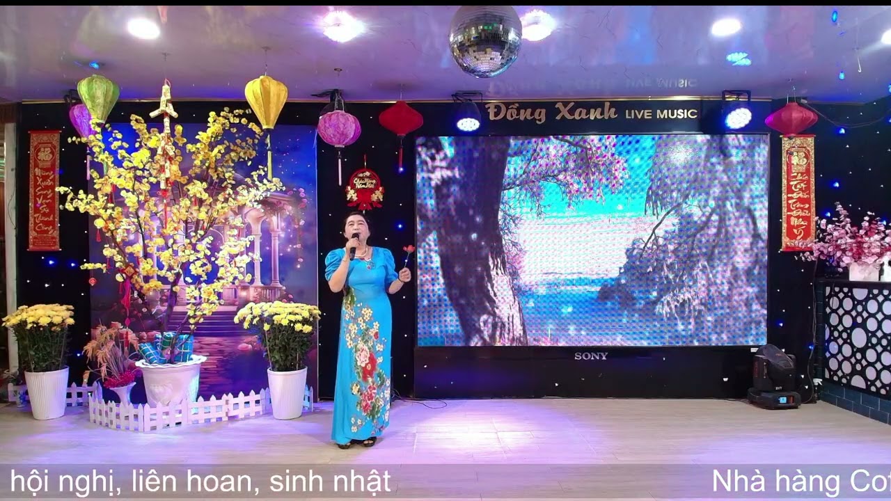 Nỗi Buồn Đêm Đông - Hồng Nhung 