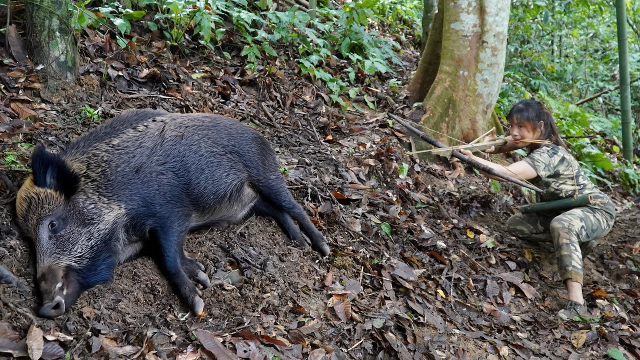wild boar hunting skills, making traps to catch wild boars, survival alone