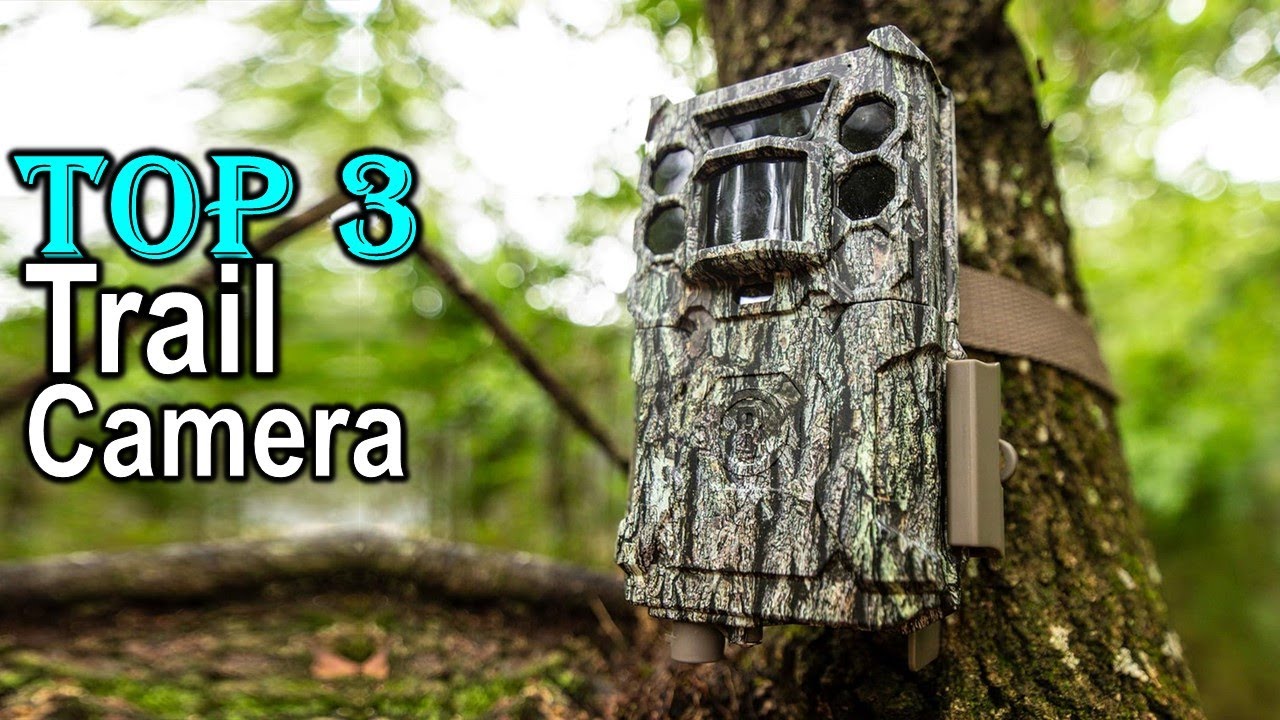 TOP 3: Best Trail Camera 2024 //  best trail cameras 2024