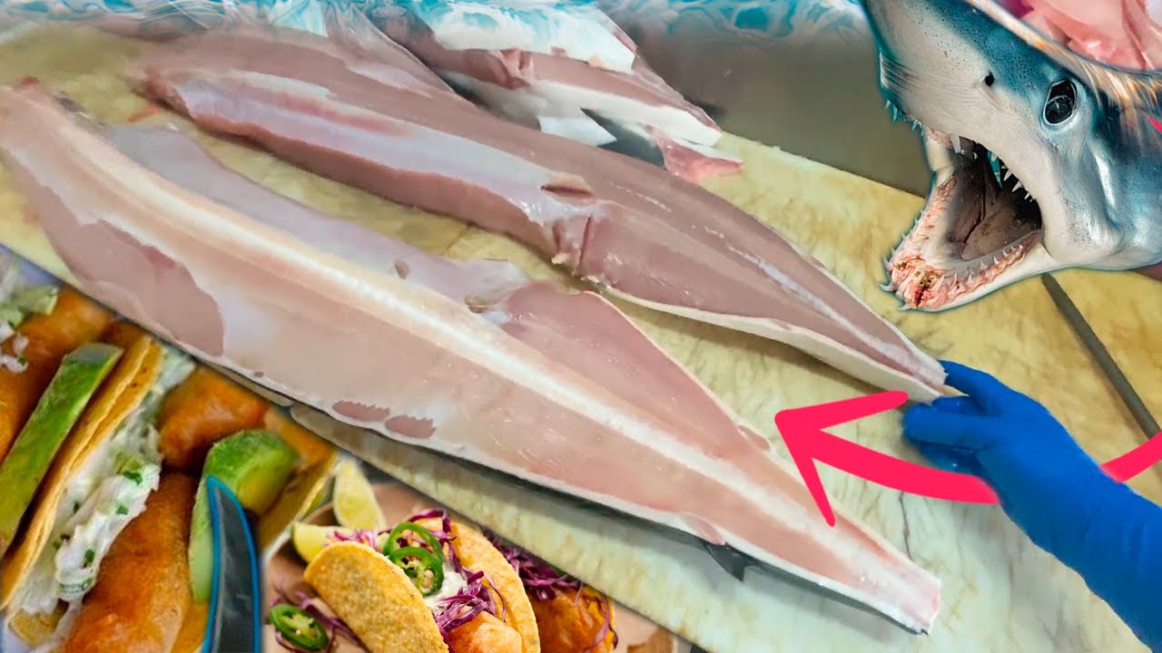 Fileteando un tiburon (mako) que normalmente se utiliza para los tacos de pescado empanizados.