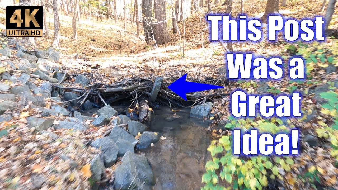 Unblocking a Small Stream and Clearing a Culvert Opening
