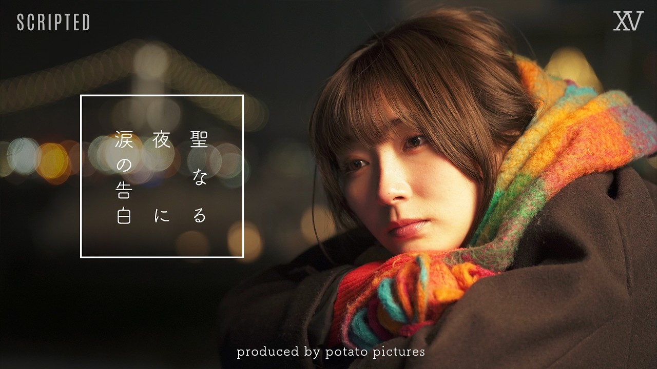 聖夜の衝撃告白「付き合ってほしい、だけど…」XV