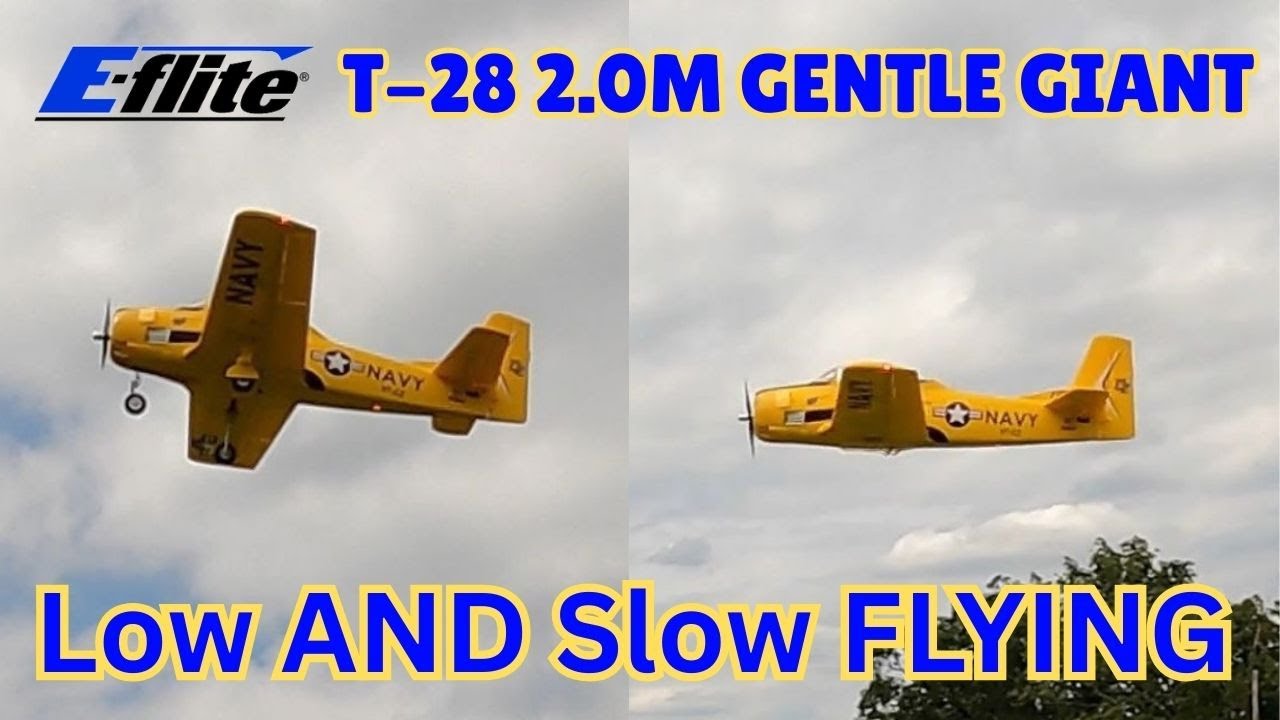 FLYING LOW AND SLOW WITH MY EFLITE T-28 2.0M #rcplane #rcairplane #eflite