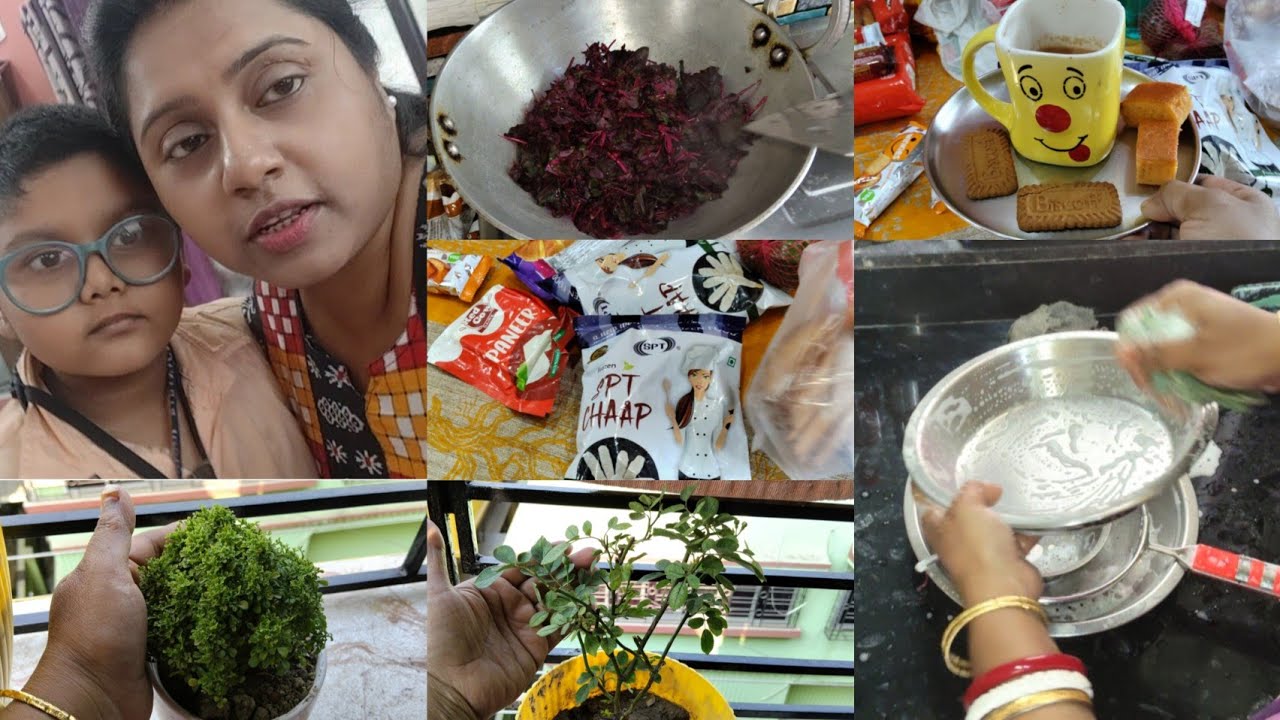 অনেকদিন পর ফিরে এলাম নতুন ভিডিও নিয়ে।কেন ভিডিও দিচ্ছিলাম না। bengali housewife daily busy routine